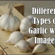 Different Types of Garlic