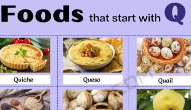 Foods That Start With Q