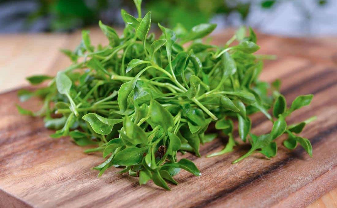 Substitutes for Watercress