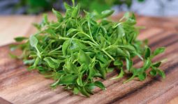 Substitutes for Watercress