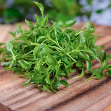 Substitutes for Watercress