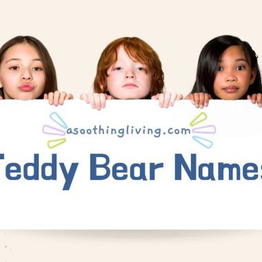 Teddy Bear Names