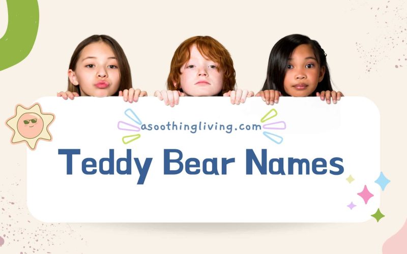 Teddy Bear Names