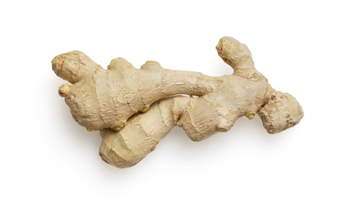 Best Substitutes for Ground Ginger