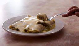 Different Types of Enchiladas