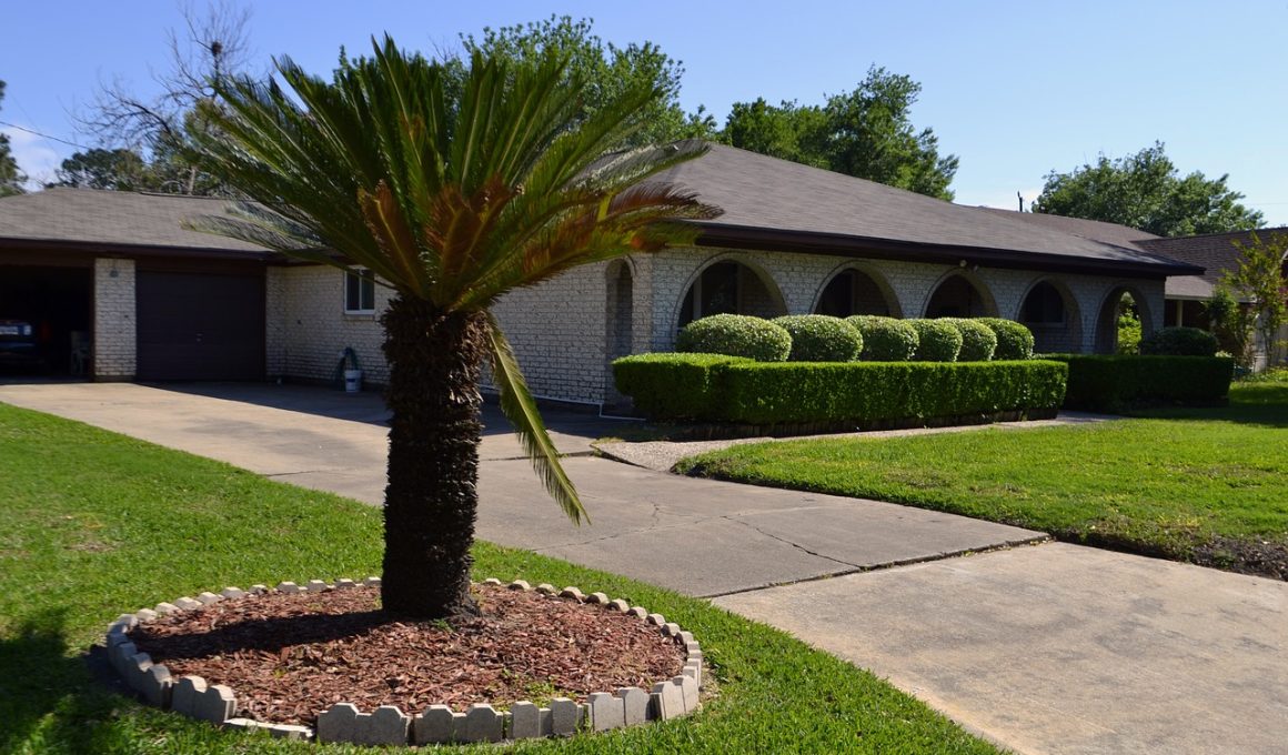 Different Types of Grass in Texas