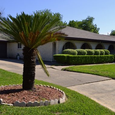 Different Types of Grass in Texas