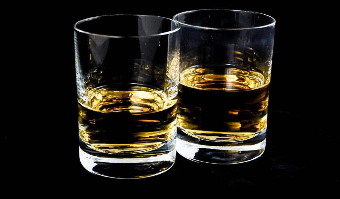 Different Types Of Whiskey Glasses