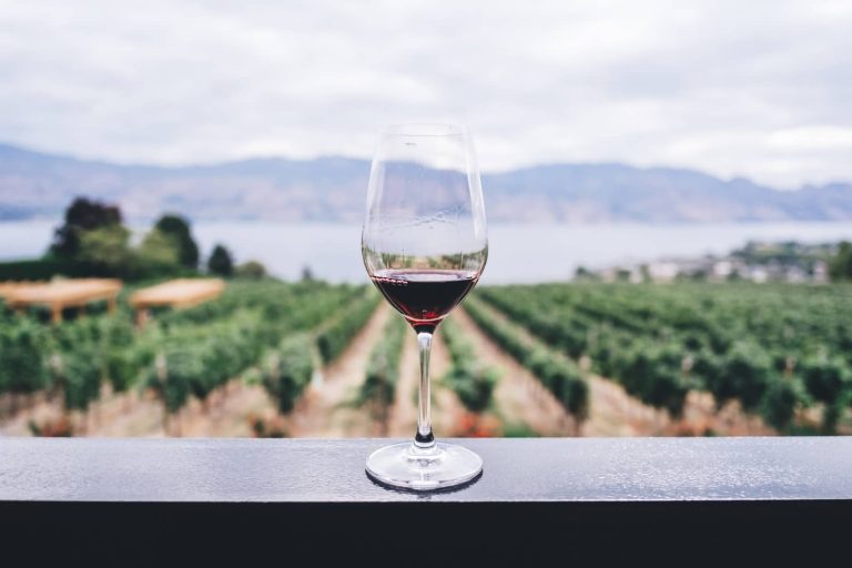 How Wine Is Produced