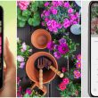 Best iPhone Apps For Identifying Plants 