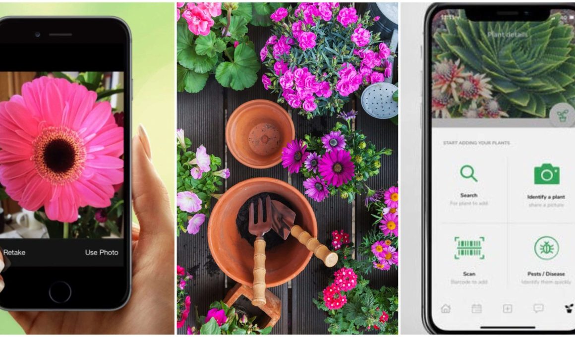 Best iPhone Apps For Identifying Plants 