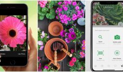 Best iPhone Apps For Identifying Plants 