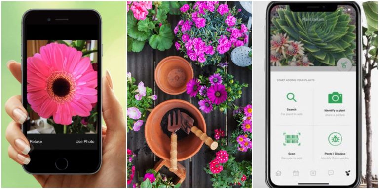Best iPhone Apps For Identifying Plants 
