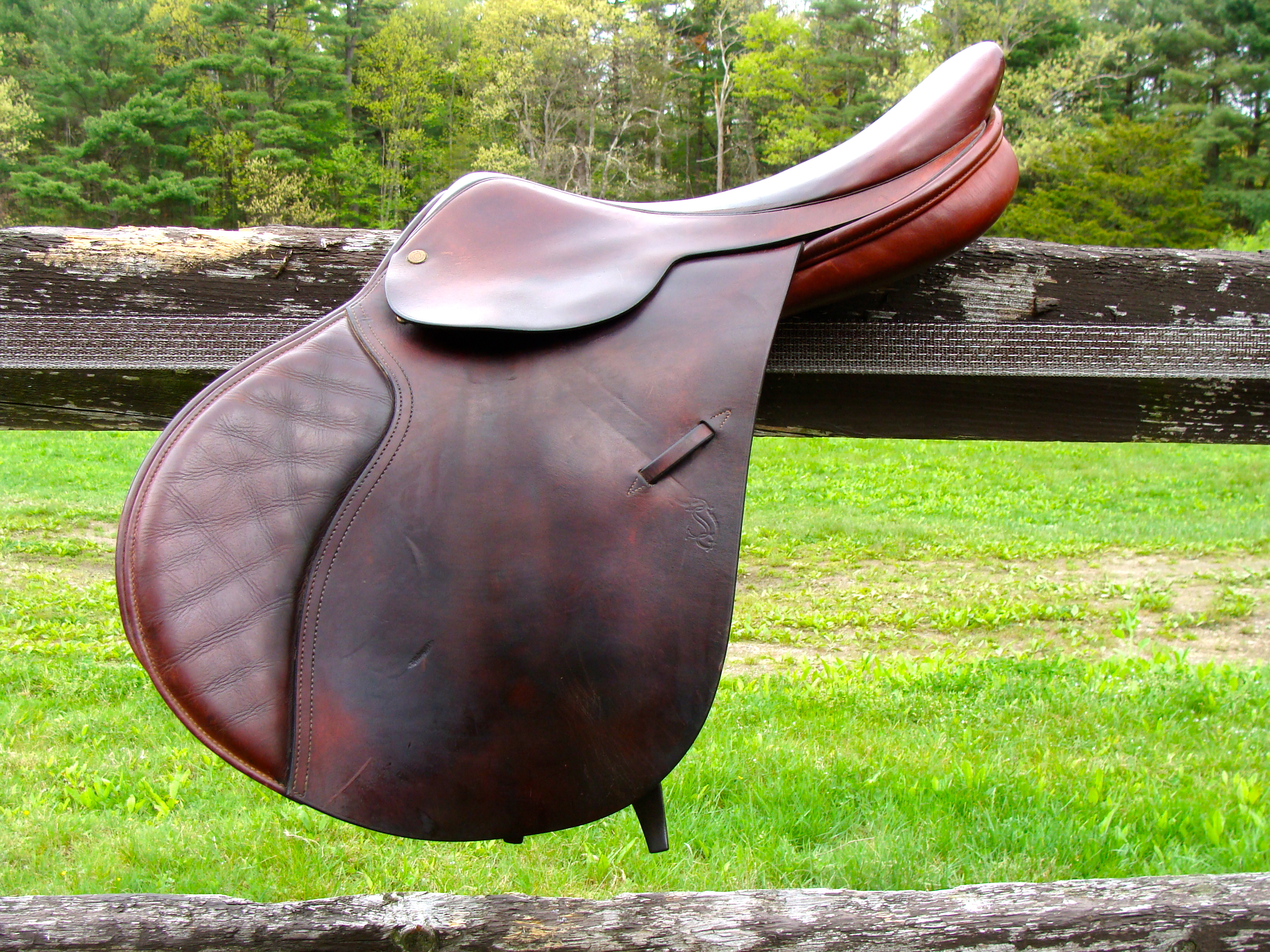 Jumping Saddle