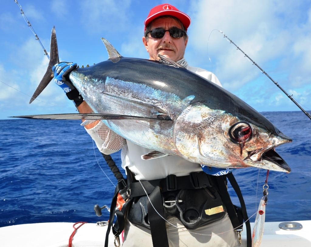 Longtail Tuna