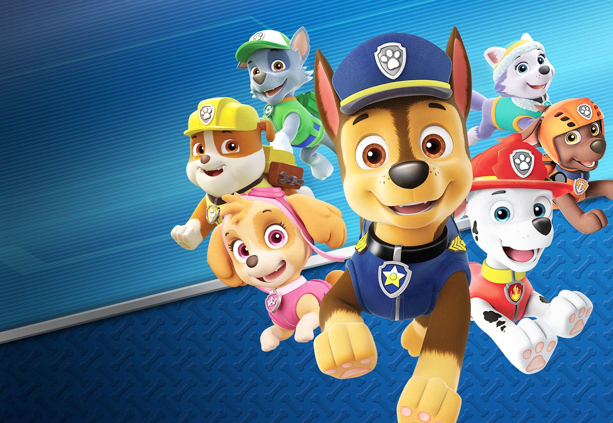 Paw Patrol On A Roll