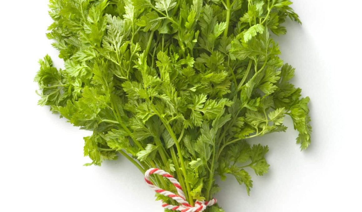 Substitutes For Chervil