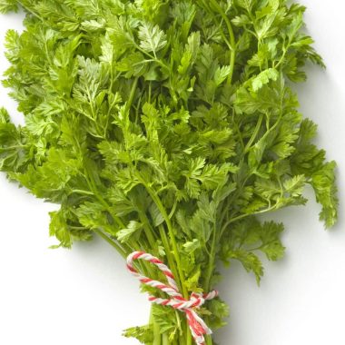 Substitutes For Chervil