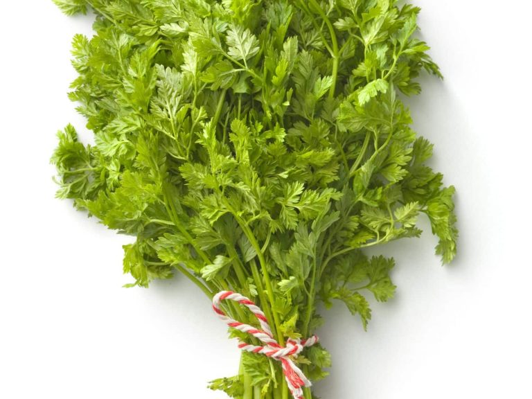 Substitutes For Chervil