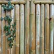 Bamboo Fencing