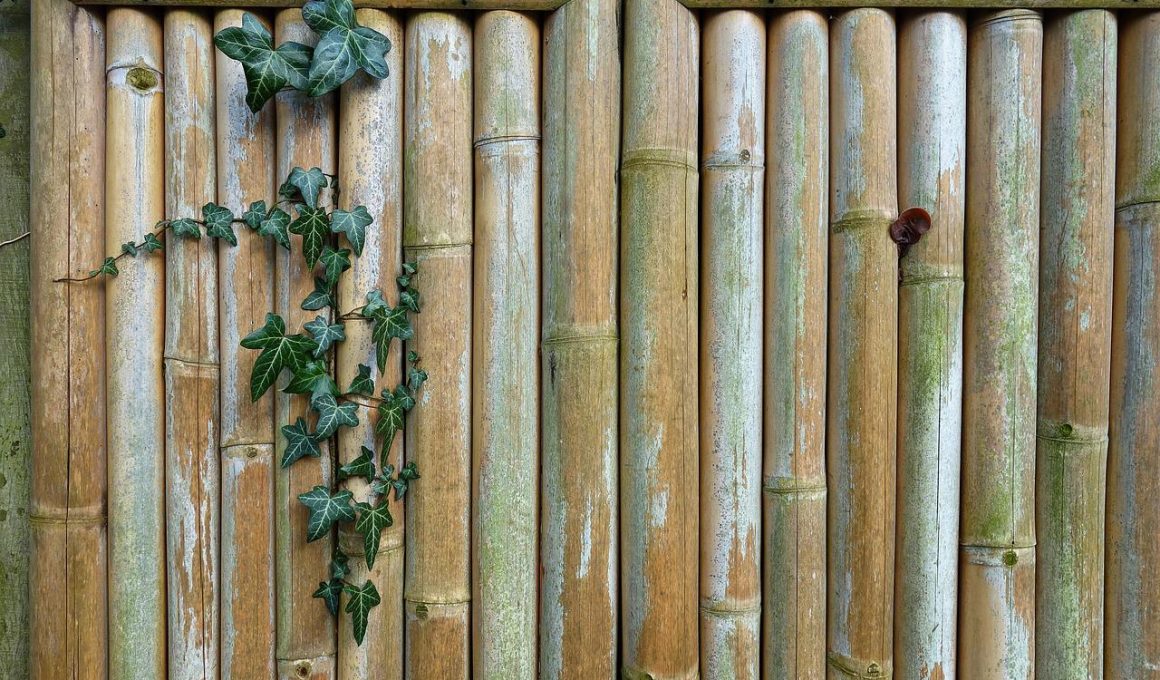 Bamboo Fencing