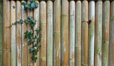 Bamboo Fencing