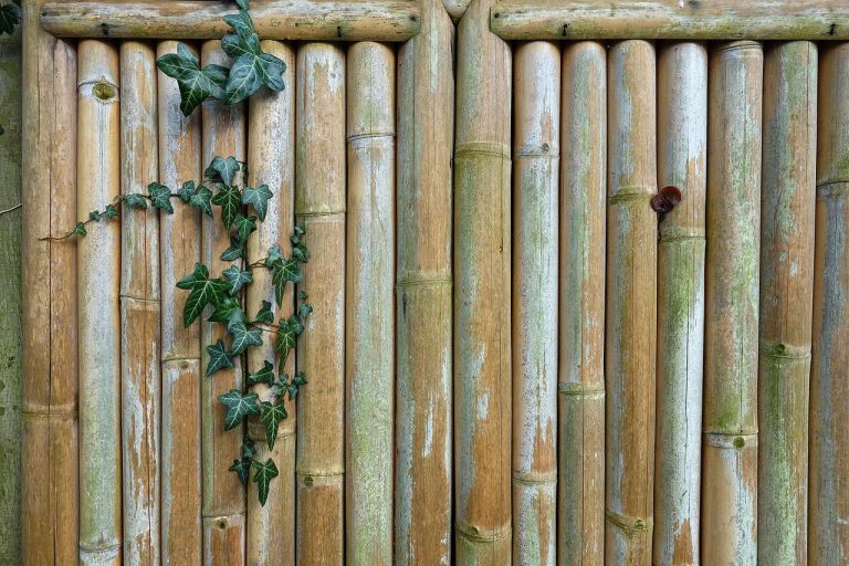 Bamboo Fencing
