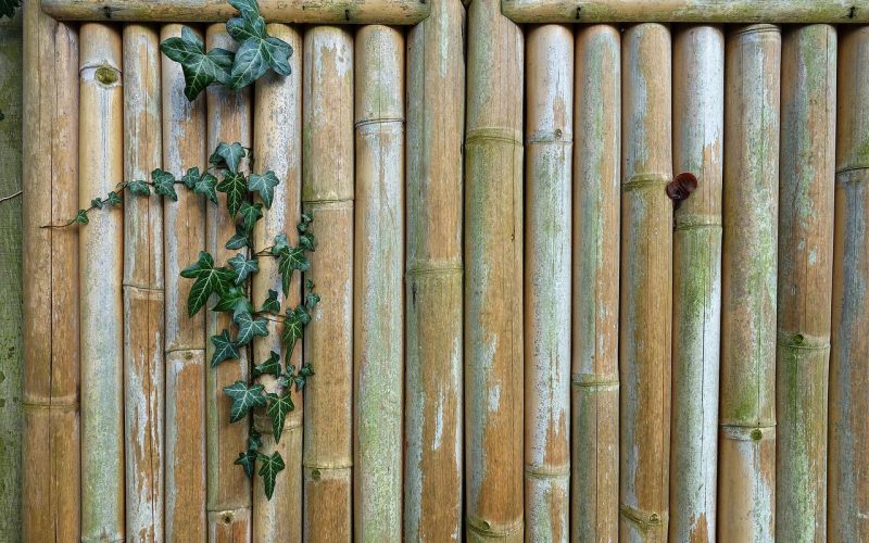 Bamboo Fencing