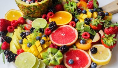Best Fruits for Wine Making