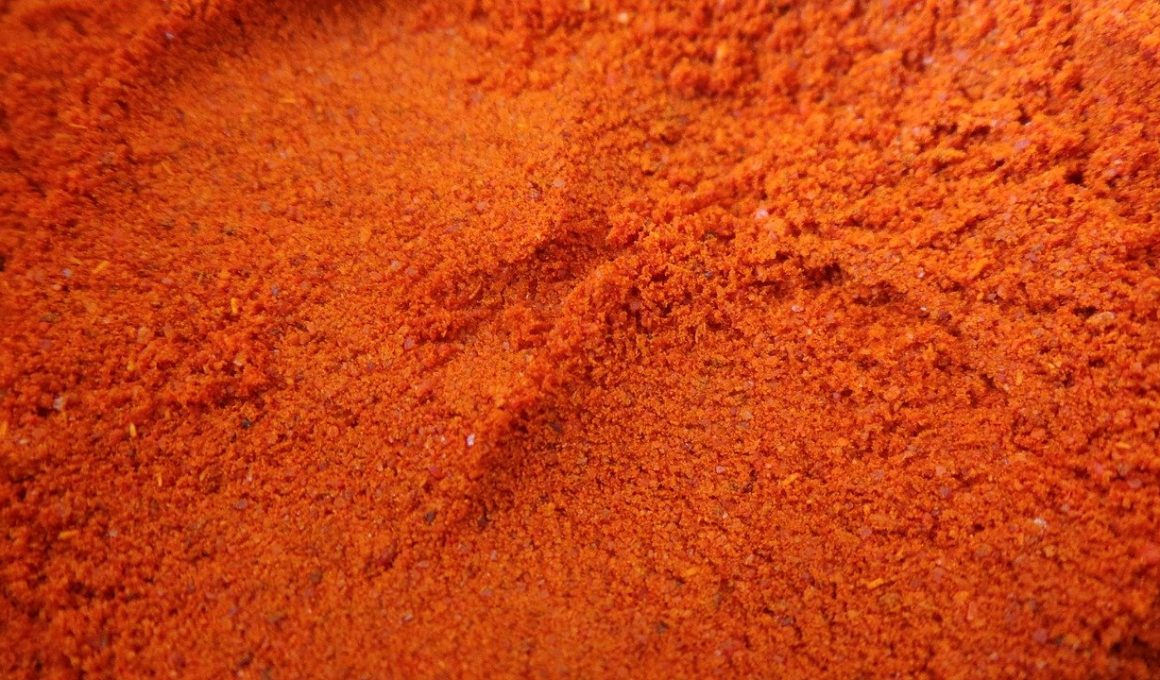 Best Substitutes for Ancho Chili Powder