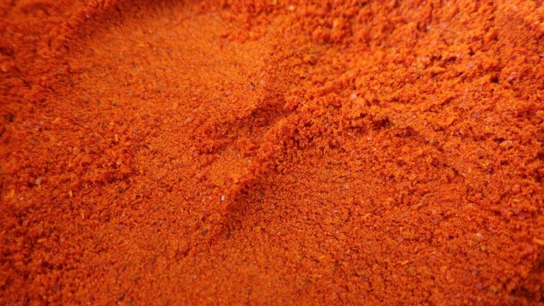 Best Substitutes for Ancho Chili Powder