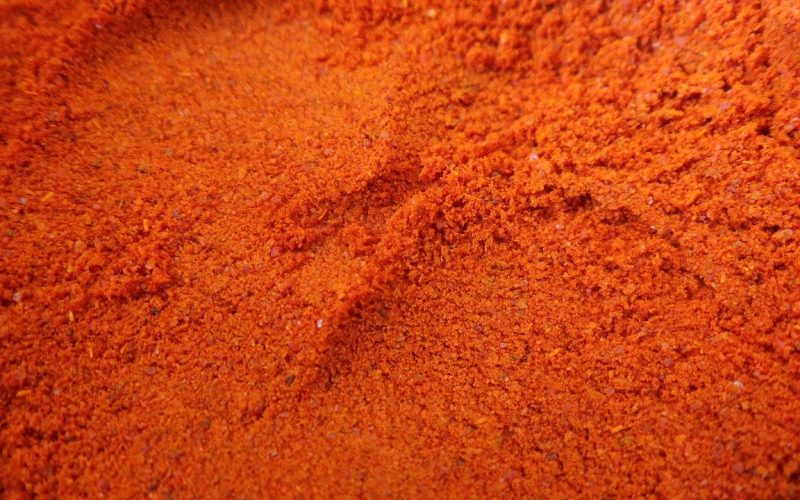 Best Substitutes for Ancho Chili Powder