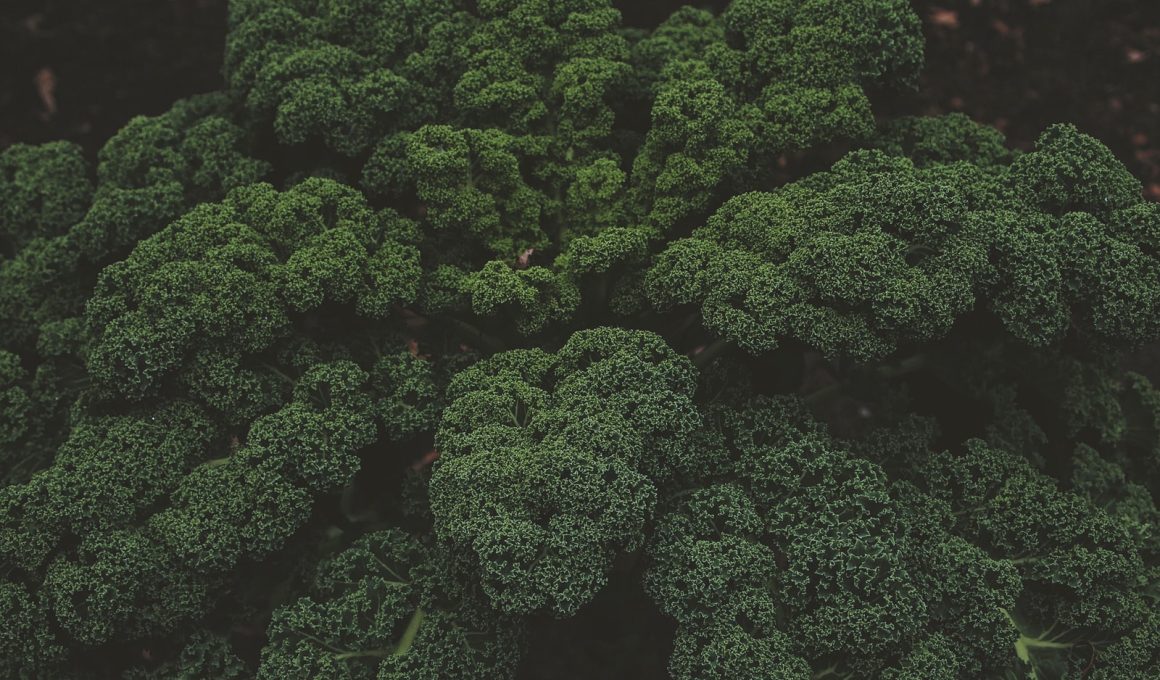 Broccoli Cooking Methods