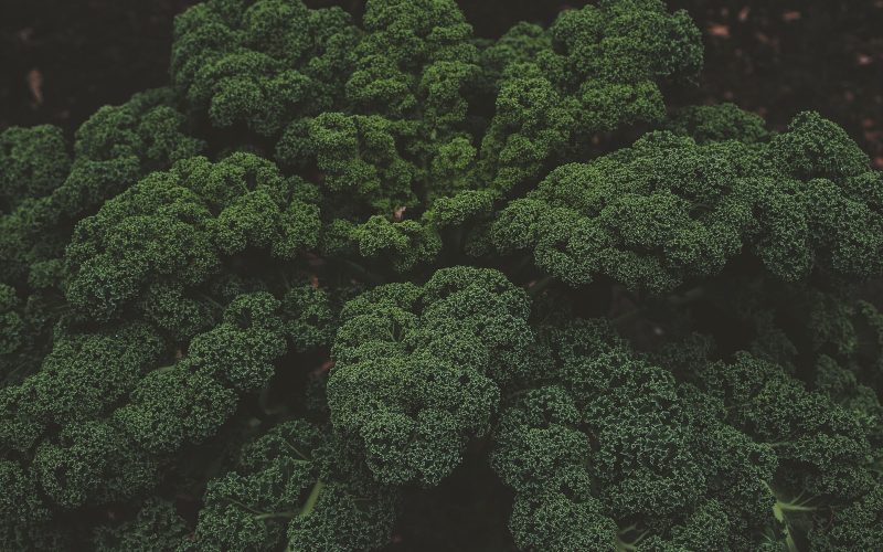 Broccoli Cooking Methods