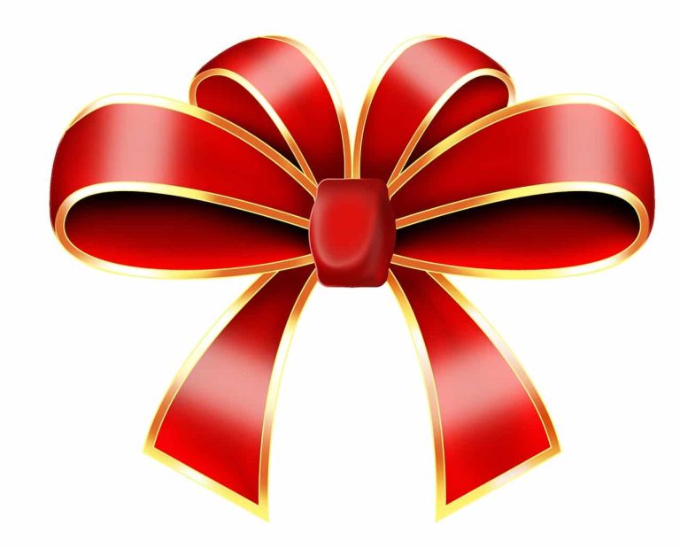 Different Types of Bows Ribbon
