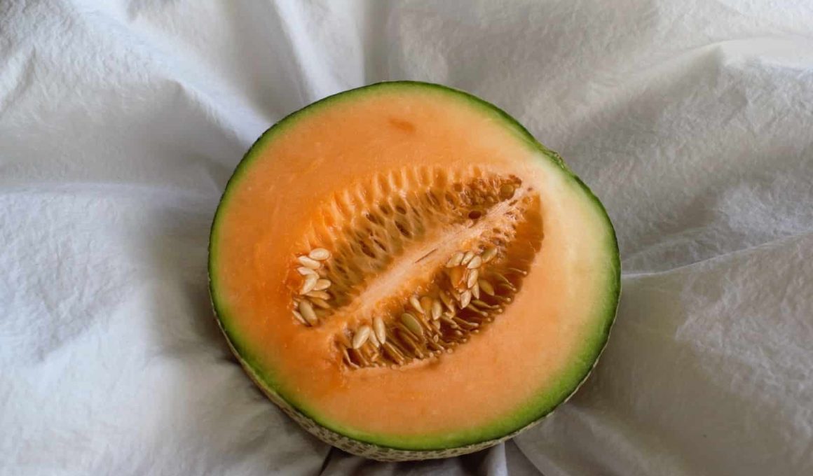 Different Types of Cantaloupe