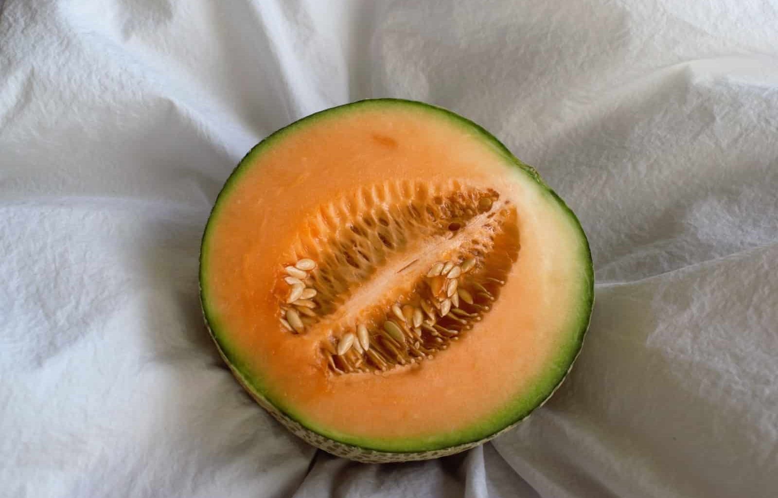 Different Types of Cantaloupe