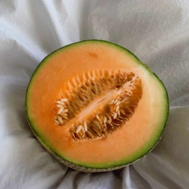 Different Types of Cantaloupe