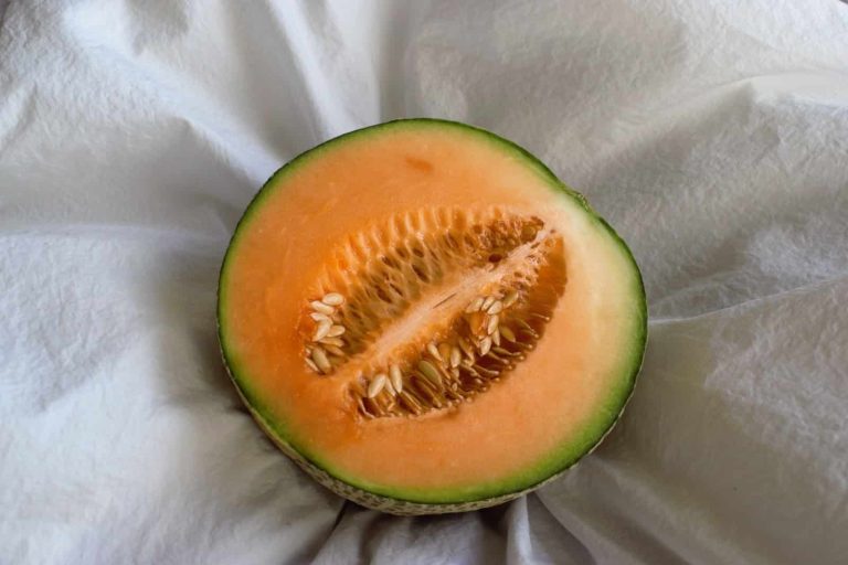 Different Types of Cantaloupe