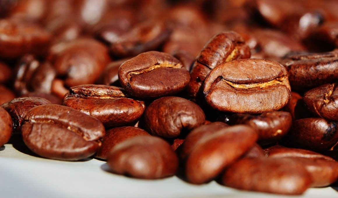 Different Types of Coffee Roasts