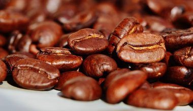 Different Types of Coffee Roasts