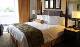 Different Types of Drapes