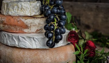 Different Types of Grapes