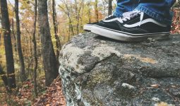 Different Types of Vans Shoes