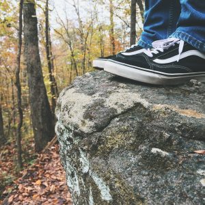 vans shoes expensive