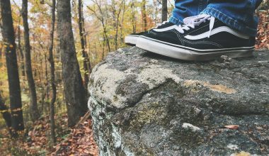 Different Types of Vans Shoes