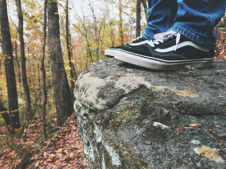 Different Types of Vans Shoes