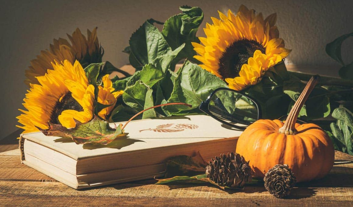 Edible Flowers for Cakes