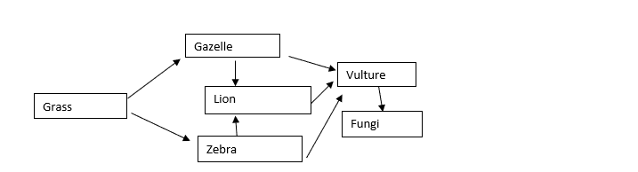 A Simple Food Web