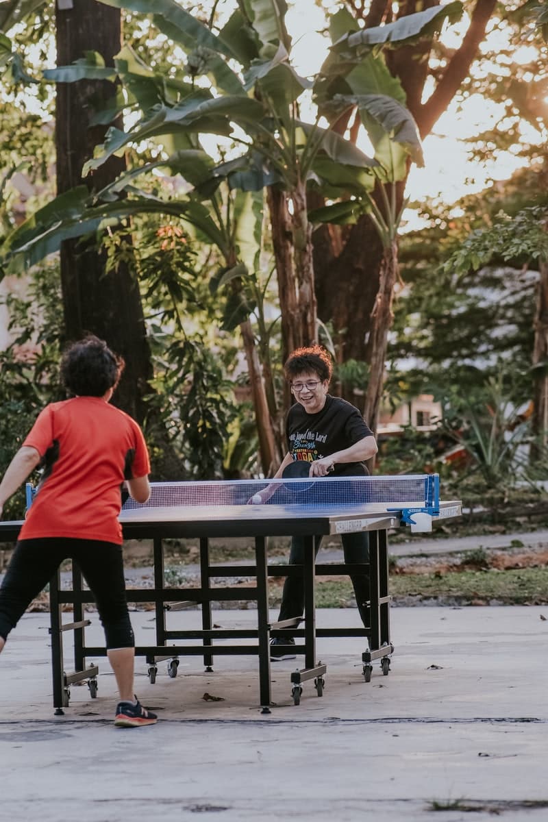 Ping Pong Table, types of tables